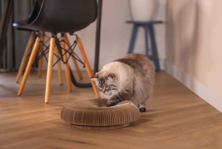 Beeztees Kedi Karton Tırmalama ve Oyuncağı, 38x10cm