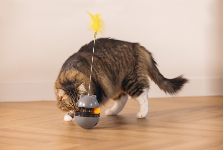 Beeztees Kedi Oyuncağı, Hacıyatmaz, İçinde Top, Ucunda Tüy, 10x10x42cm