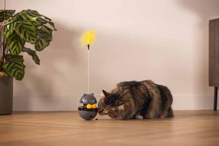 Beeztees Kedi Oyuncağı, Hacıyatmaz, İçinde Top, Ucunda Tüy, 10x10x42cm
