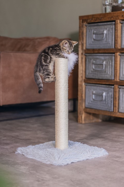 Beeztees Kedi Tırmalama ve Oyuncağı, Gri, 35x35x53cm