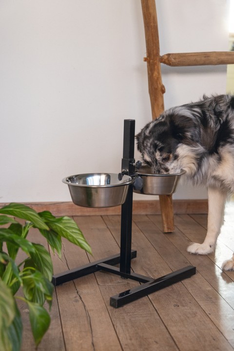 Beeztees Köpek İkili Mama Su Kabı, Ayaklı, Paslamaz Çelik, 25cm, 2x2,5L