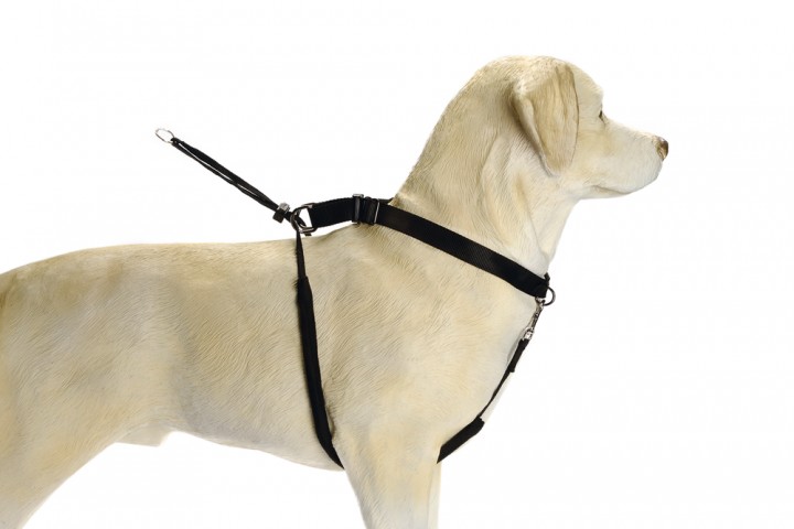 Beeztees Köpek Yürüyüş Eğitim ve Düzeltme Tasması, M