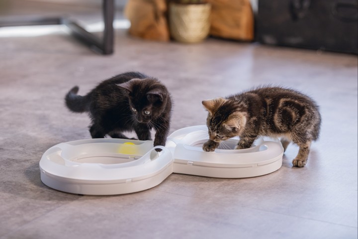 Beeztees Yavru Kedi Oyuncağı, 50x24x5,5cm