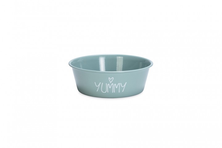 Beeztees Yavru Köpek Mama Su Kabı, Paslanmaz Çelik, Kaymaz Taban, Turkuaz, 13cm, 470ml