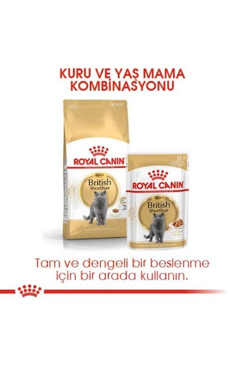 British Shorthair Adult Kedi Kuru Maması 2 Kg