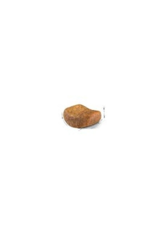 British Shorthair Adult Yetişkin Kedi Maması 2kg