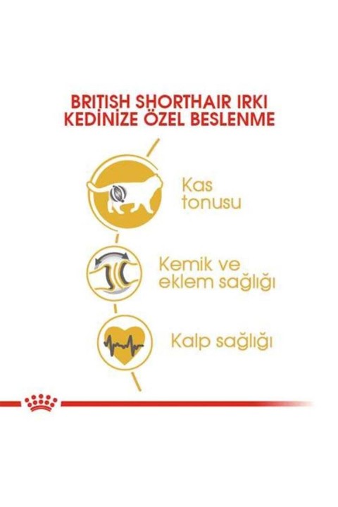British Shorthair Kedilerine Özel Mama 10 Kg