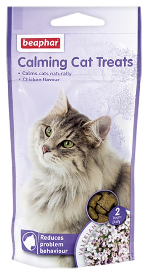 CALMING BITS KEDI ODUL