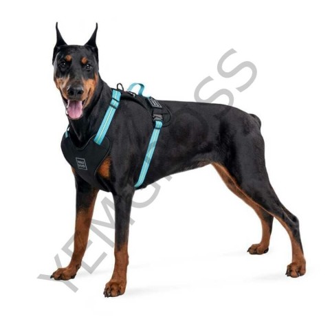 Collar Waudog Fosforlu ve QR Pasaportlu Köpek Göğüs Tasması S Mavi 20mm (52472)