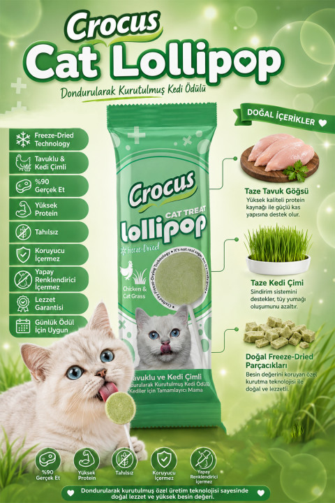 Crocus Tavuklu Ve Kedi Çimli Kedi Lolipop