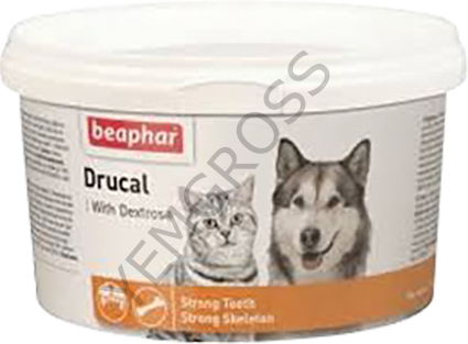 DRUCAL EKLEM DEST.  250 GR