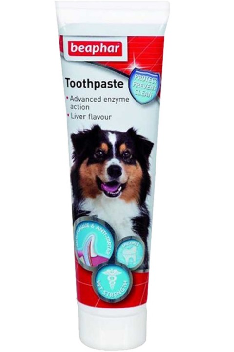 Dıs Macunu 100 ml