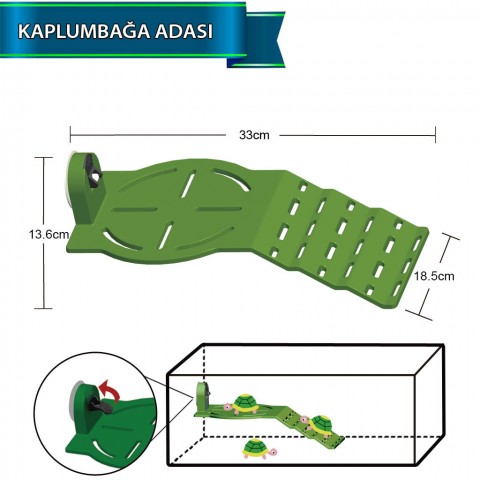 Dophin Kaplumbağa Adası