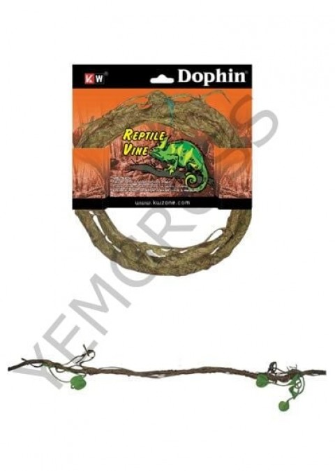 Dophin Sürüngen Aksesuar S
