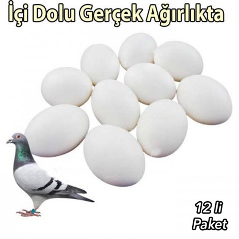 Güvercin Yumurtası  (İçi Dolu)