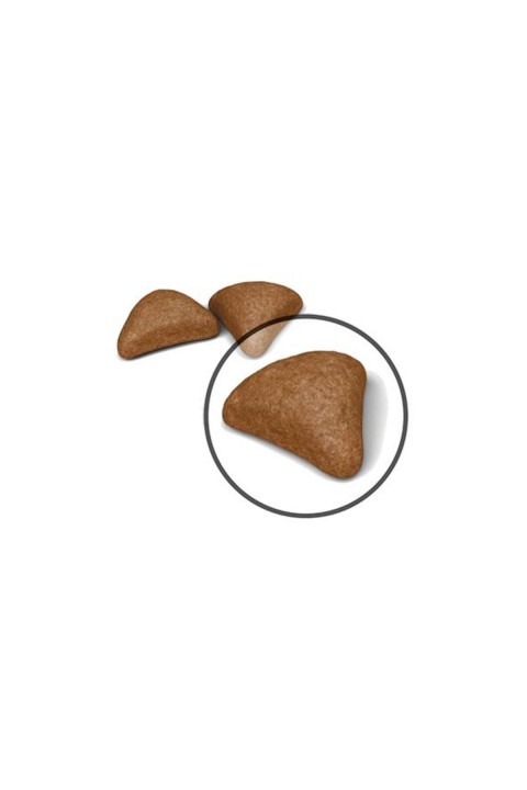 Hairball Care Yetişkin Kedi Maması 2 Kg