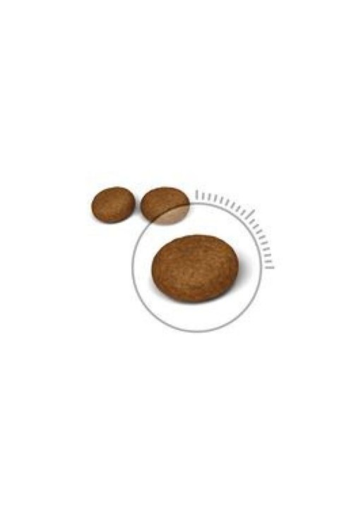 Hair&skin 2kg Uzun Tüylü Kedileri Için Kuru Kedi Maması