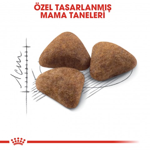 Royal Canin Indoor 27 Ev Kedileri İçin Yetişkin Kedi Maması 400 Gr