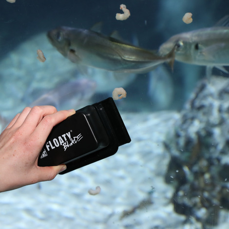 Jbl Algae Magnet L