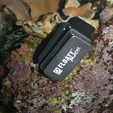 Jbl Floaty L Blade