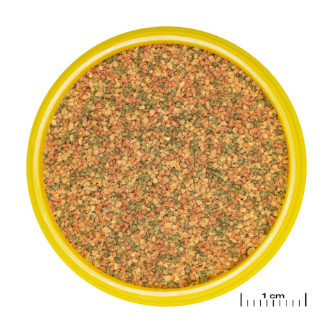Jbl Pronovo Bel Grano Xs 100ml