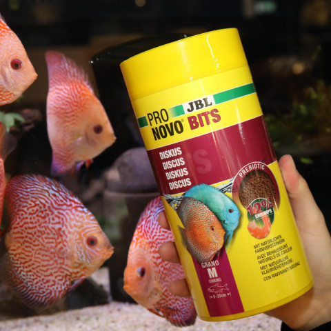 Jbl Pronovo Bıts Grano M 250ml