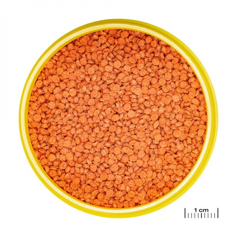 Jbl Pronovo Bıts Grano M 5,5l