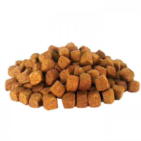 Jungle 2,5 kg- Kuzu Etli Yetişkin Köpek M