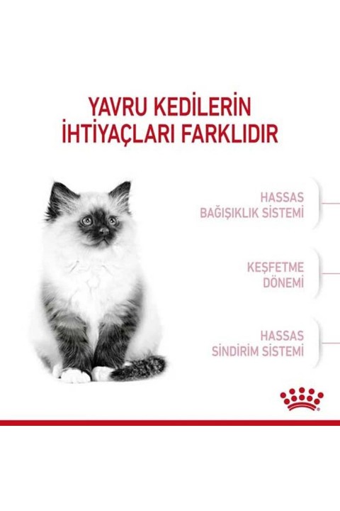 KITTEN- Yavru Kedi Maması- 4 KG