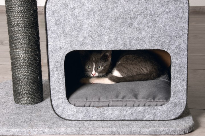 Karlıe Kedi Tırmalama+ev Flavıe Gri 60x40x77cm