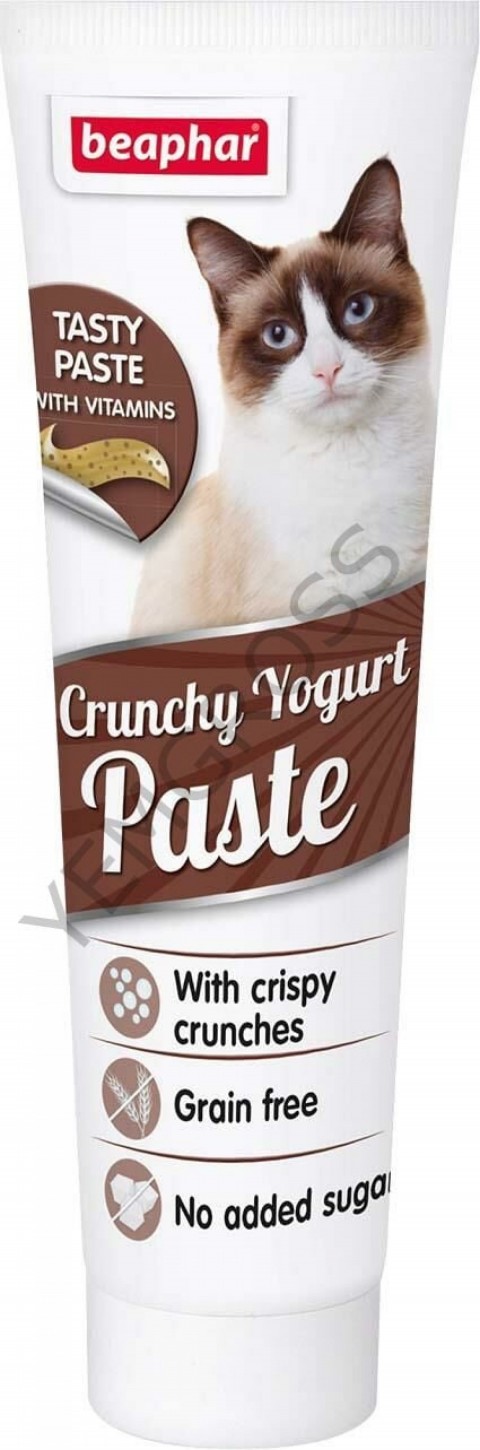 Kedi Paste Crunchy Yogurt 100G