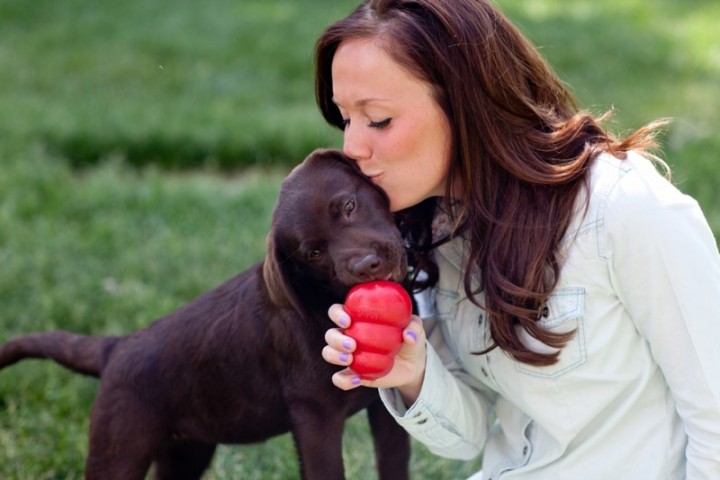 KONG Classic Köpekler için Çok Amaçlı Isırma Oyuncağı XXL