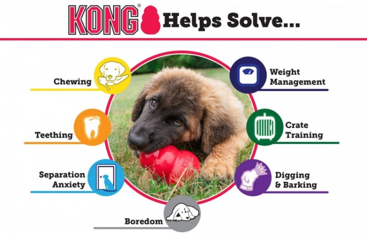 Kong Puppy Küçük Irk Yavru Köpek Oyuncağı Small 8cm