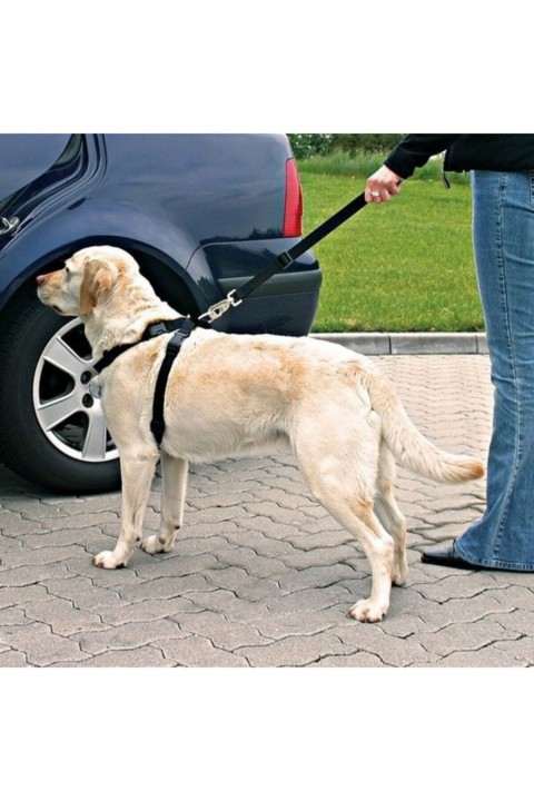 Trixie Köpek Emniyet Kemeri 70-90cm L