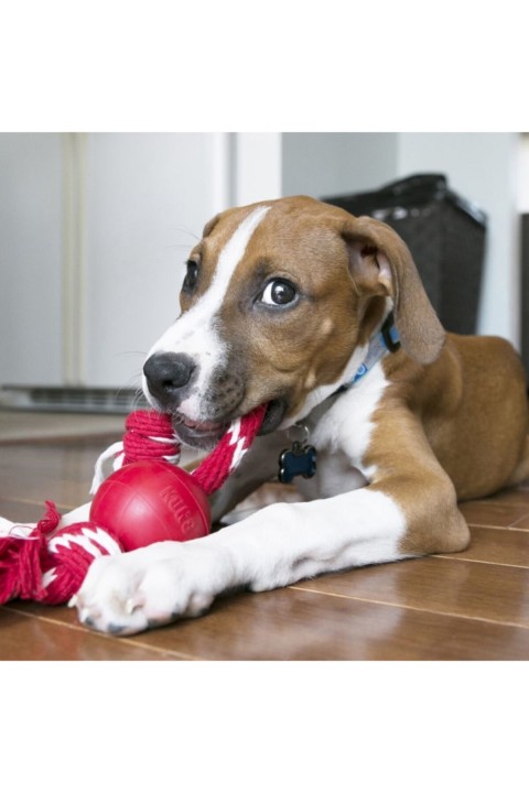 Kong Köpek İpli Oyun Topu S 6,5cm