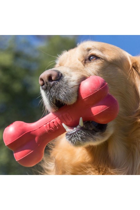 Kong Kırmızı Kauçuk Köpek Kemik Oyuncağı  S 13,5cm