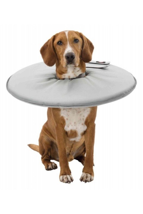 Trixie Kedi-Köpek Yakalığı XS 23-27cm 13cm Gri
