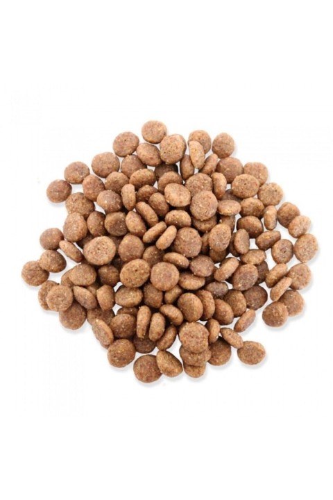 Fitmin Mini Puppy %50 Taze Tavuk Etli Ufak Irk Yavru Köpek Maması 15 Kg