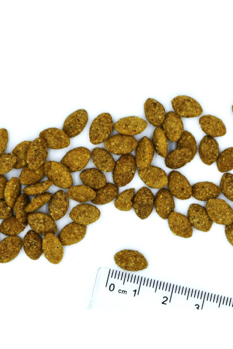 Monge Adult Light Hindili Yetişkin Diyet Kedi Maması 1,5 Kg