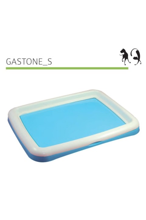 Mp Köpek Çiş Eğitim Gastone S 48*38*4cm