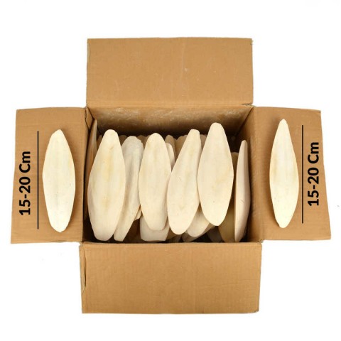 Mürekkep Bal.Kemiği (Kalamar) 1 Kg