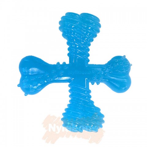 Nylabone Biftek Aromalı Yavru Köpek Çiğneme Kemiği  XS
