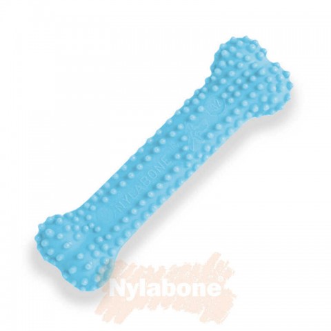 Nylabone Tavuk Aromalı Yavru Köpek Çiğneme Çubuğu  XS