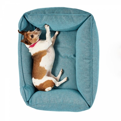 Pet Comfort Alpha Mirandus 43 Kedi ve Köpek Yatağı 50x60cm