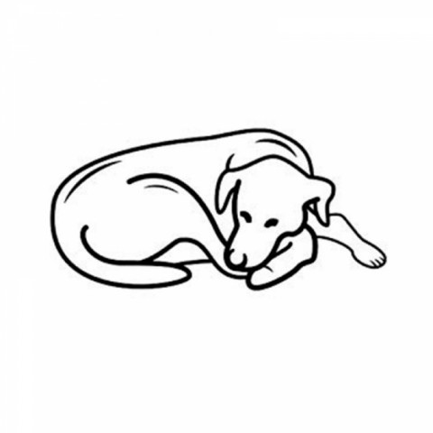 Pet Comfort Alpha Mirandus 43 Kedi ve Köpek Yatağı 50x60cm