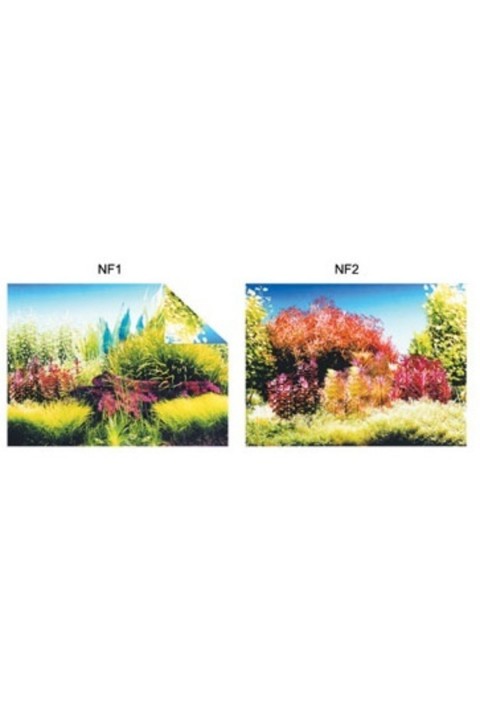 Pls.poster 48 Cm 15 Mt