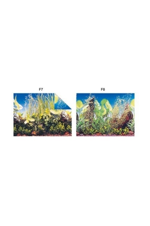 Pls.poster 30 Cm 15 Mt