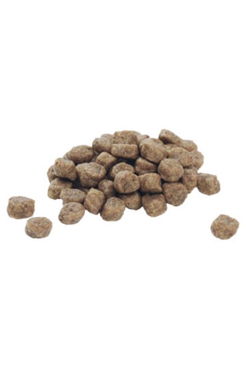 Puppy Small & Mini / Küçük Irklar Için Tavuklu Yavru Köpek Maması 3 Kg