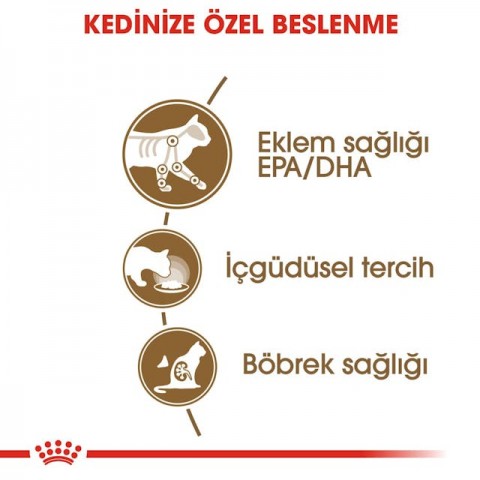 Royal Canin Ageing 12+ Gravy Pouch Yaşlı Kedi Yaş Maması 85 Gr