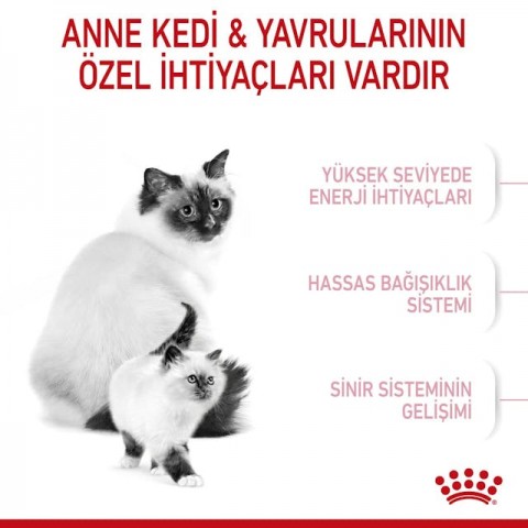 Royal Canin Mother & Babycat Anne ve Yavru Kedi Maması 2 Kg Royal Canin Mother & Babycat Anne ve Yavru Kedi Maması 2 Kg